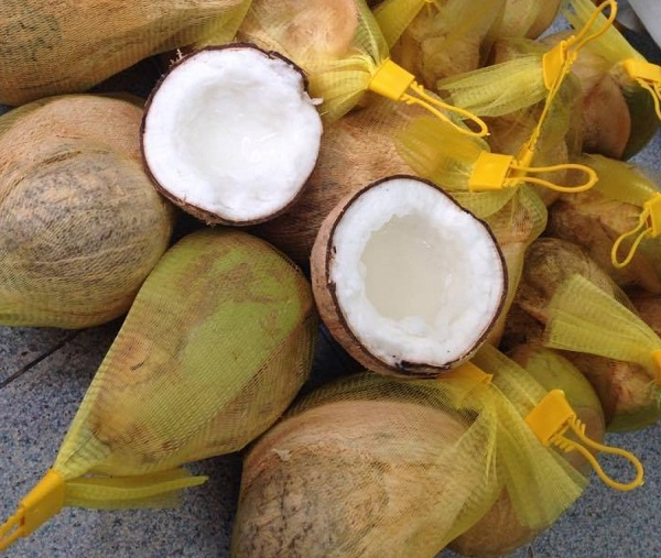 Dừa Sáp